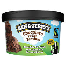 Ben & Jerry's 100ml  Chocolate Fudge Brownie
