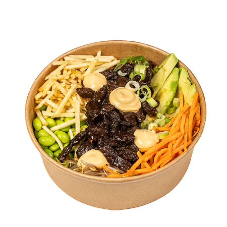 beef teriyaki 