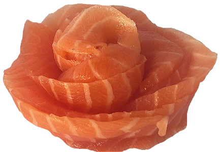 zalm sashimi lover 