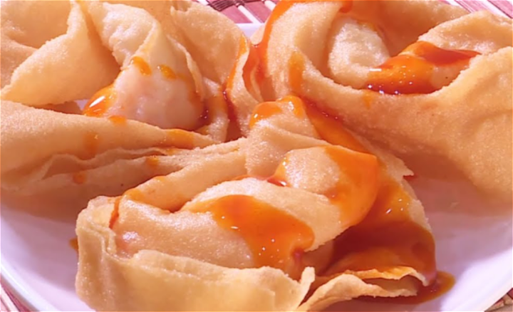 Pangist goreng, Wan Tan met kip 4 stuks