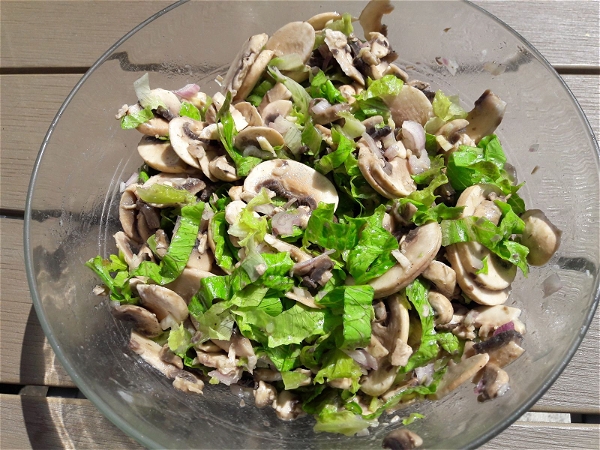 Mushroom salad 