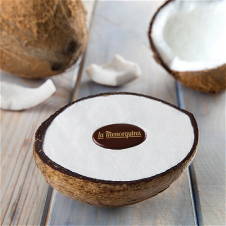 Kokosijs met geraspte kokosnoot in een echte kokosnootschaal