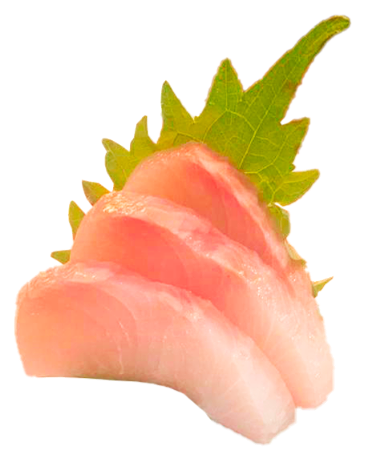 Hamachi (yellow tail) sashimi