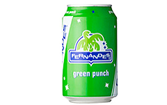 Fernandes green 0,33L