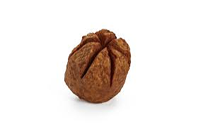Gefrituurde bal