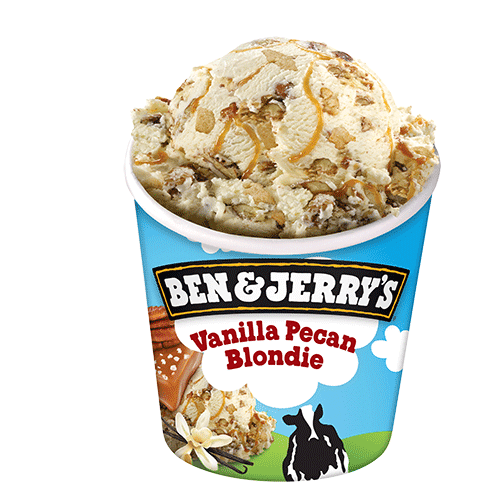 Ben & Jerry's Vanilla Pecan Blondie 465ml