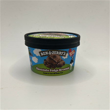 Ben & Jerry's Chocolate Fudge Brownie 100ml