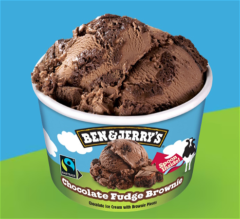 Ben & Jerry's Chocolate Fudge Brownie 100ml