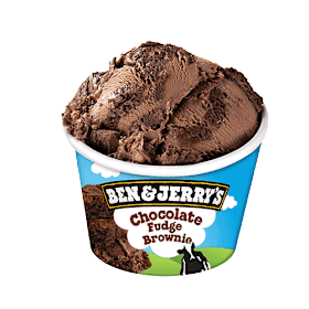 Ben & Jerry's Chocolate Fudge Brownie 100ml