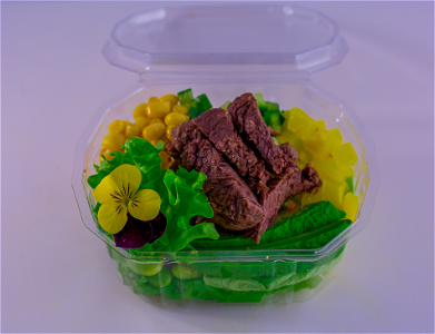 Beef Salade (halal)