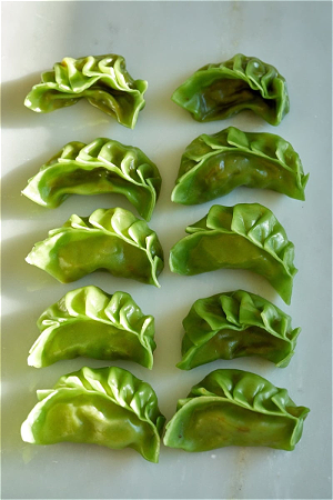 Vegetarian Gyoza(5st)