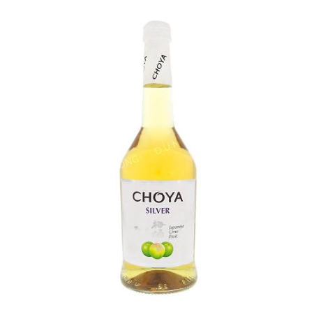 Fles Japanse pruimenwijn Choya Silver (500 ml)