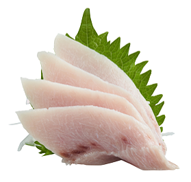 Kajiki sashimi