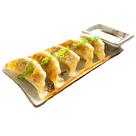 Gyoza kip (van €5.89 van € 4.89 )