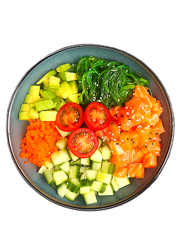 Classic salmon large