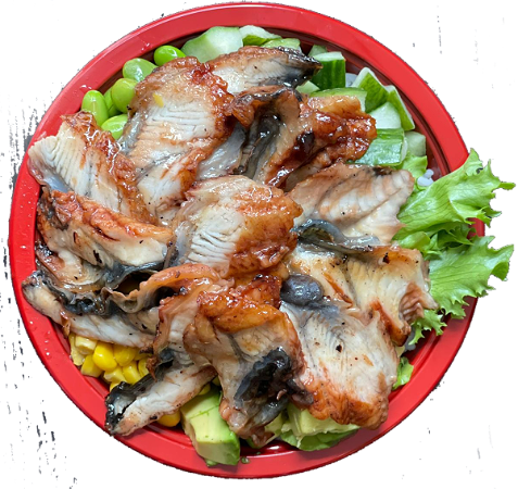 Rijst met gegrilde paling 