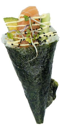 Zalm Temaki