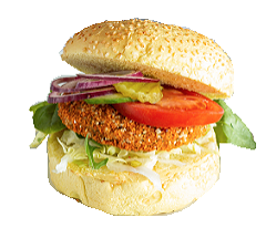 Vegan Visburger