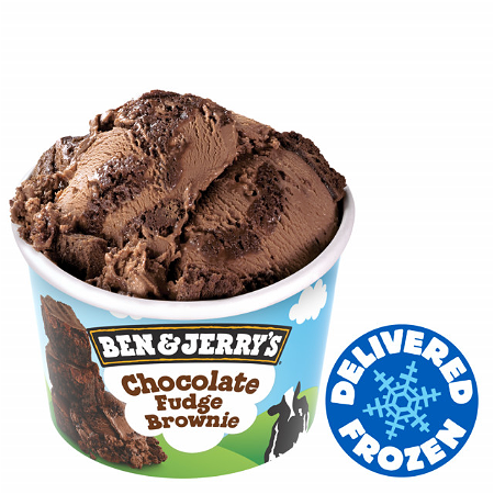 B&J 100ml Chocolate Fudge Brownie 