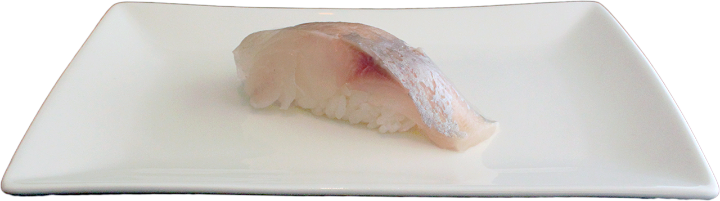 Seabass nigiri