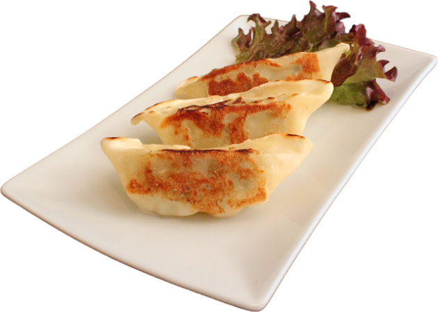 Gyoza vega