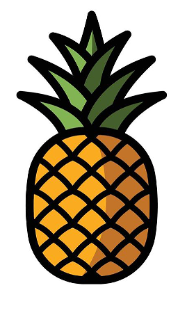tropical burger
