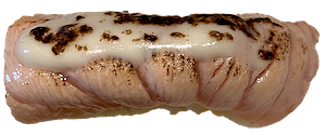 Flamed Sake Cheese Nigiri