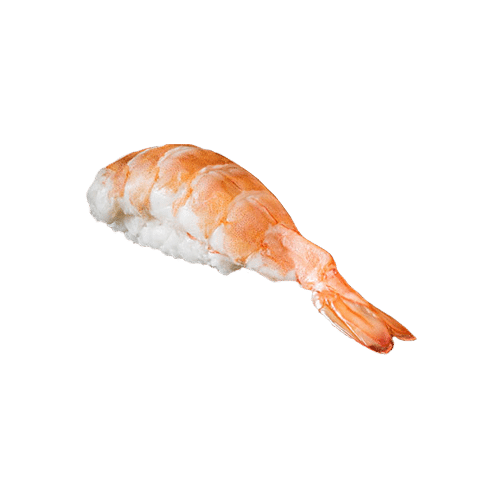 Ebi nigiri