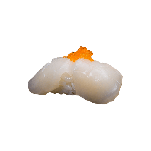 Scallop nigiri