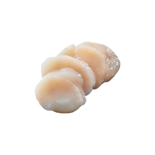 Scallop sashimi