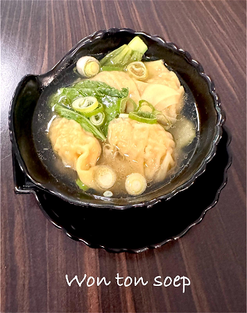 Won Ton soep (garnalen en kip)